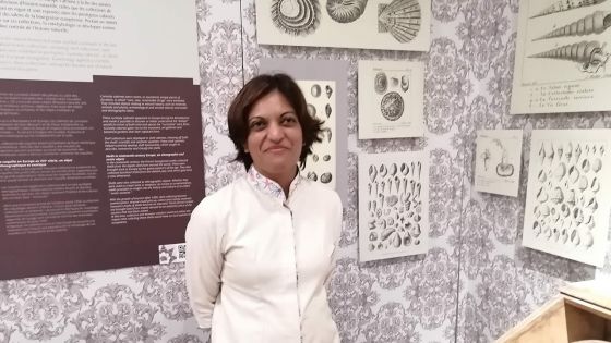 World of Seashells, à Bel Ombre : à la découverte du plus grand musée du coquillage d’Afrique  