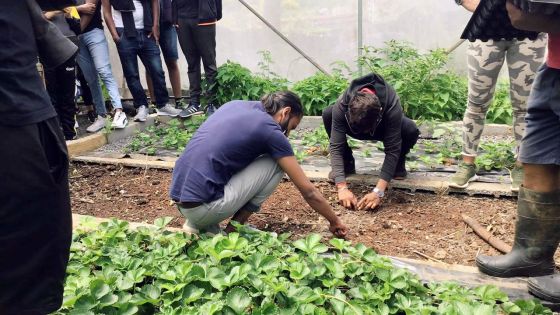 Perspectives 2022 : le secteur agricole appelé d’urgence à se réinventer