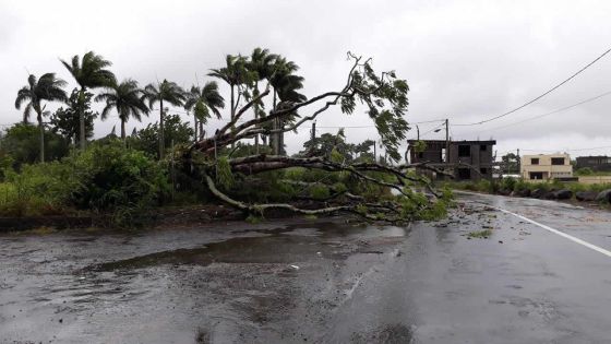 Tempête Carlos : une cinquantaine d’interventions des pompiers depuis dimanche