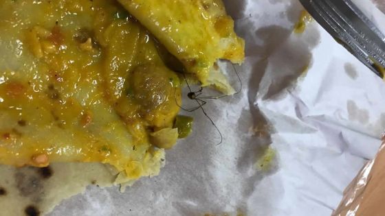 Une araignée découverte dans des dholl puri