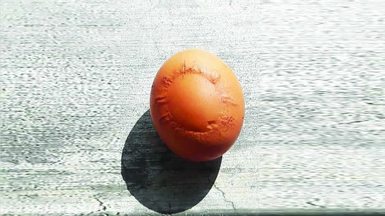 Insolite : un soleil gravé sur une... coquille d’œuf