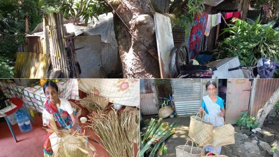 Solidarité en temps de confinement : l’histoire de Kabootree a ému de nombreux internautes