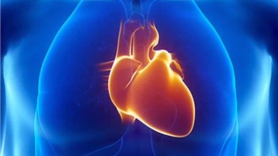 Selon une étude internationale faite à Maurice : la criminalité liée au rythme cardiaque