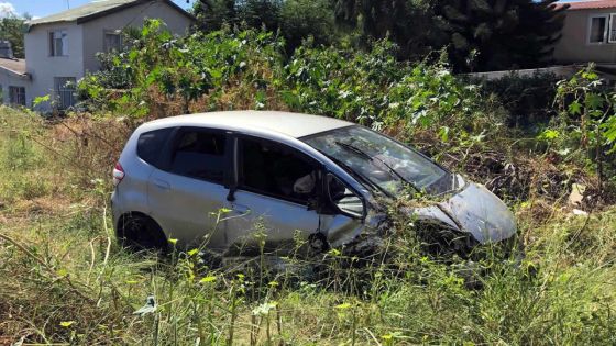 Terrains en friche dans l’Ouest - Un résident désemparé : «Les moustiques envahissent»
