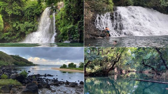 Restauration des Écosystèmes : ces lieux sauvés par les amoureux de la nature