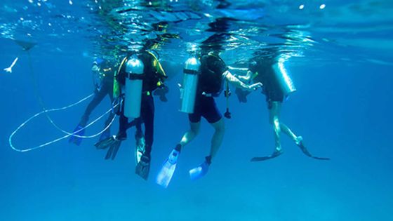 Découverte : l’art de la plongée chez Beachcomber