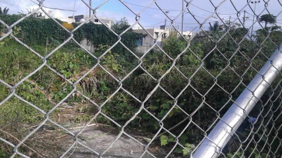 Cottage : des broussailles envahissent le complexe NHDC