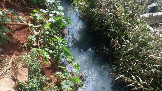 Eau stagnante à Morcellement Guibies