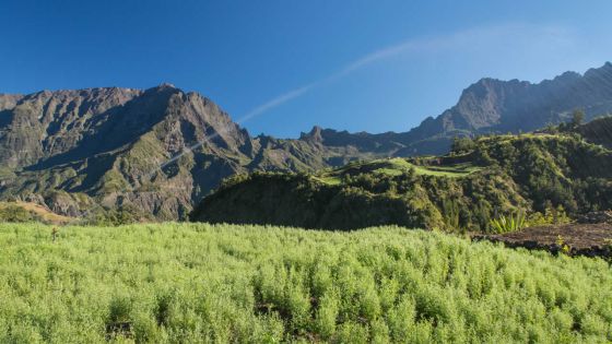 Cilaos : la destination pittoresque de l’île de La Réunion