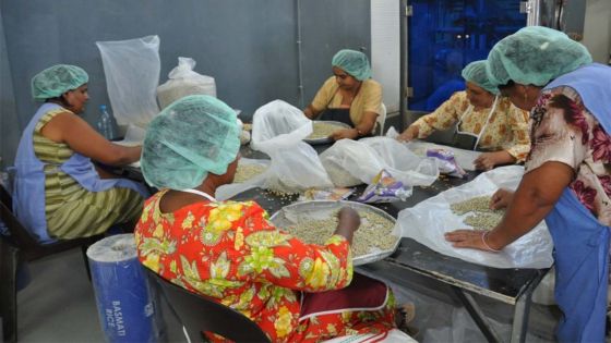 Consommation - grains secs : une pénurie à l’horizon
