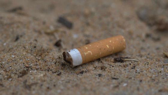 Rattrapé par son passé après avoir jeté un mégot dans la rue il y a cinq ans 