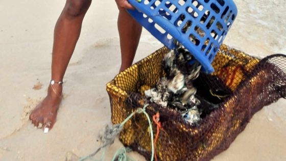 Faux projet d’élevage d’huîtres : le faux cuisinier chinois lui soutire Rs 3M