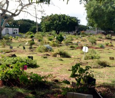 Acte malveillant allégué: elles obtiennent l’exhumation du corps de leur mère