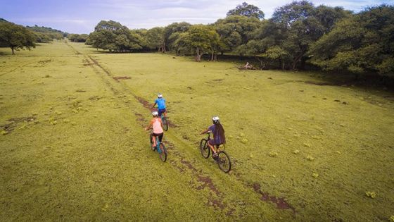 Yemen Experience : un domaine de nouveautés