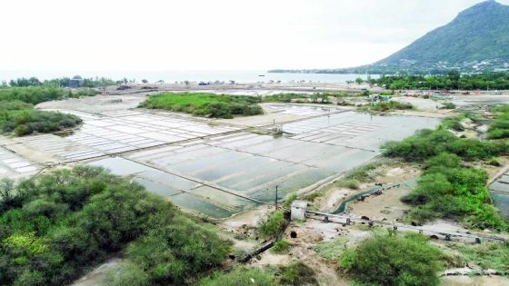 Rivière Noire : disparition des dernières pépites de l’Ouest