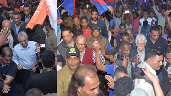 Législatives 2019 : quand les sondages politiques affolent 