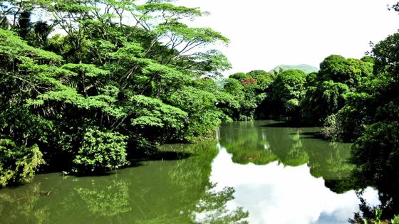 En allant faire ses prières : une femme de 58 ans périt noyée