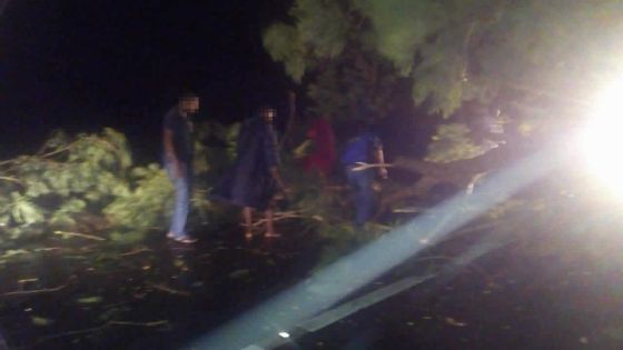 Tempête Carlos : 30 personnes dans des centres de refuge