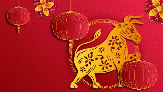 L’année du buffle/bœuf : Synonyme de renouvellement et de rétablissement