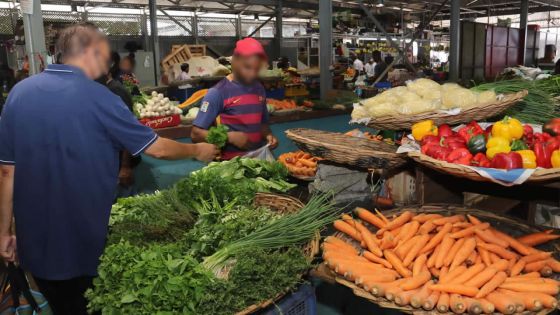 Consommation - Légumes : vers une hausse de 15 % à 25 % des prix d’ici un mois