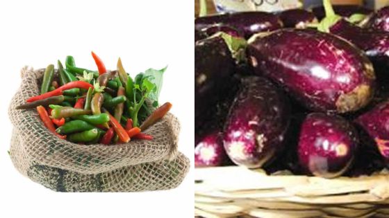 Au marché : la bringelle à Rs 100, le petit piment à Rs 400 le demi-kilo