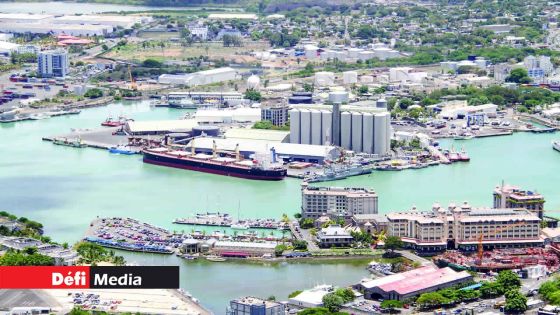 Des poissons toxiques «vieille baboune» saisis au port 