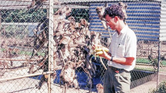Le macaque à longue queue menace la biodiversité locale 