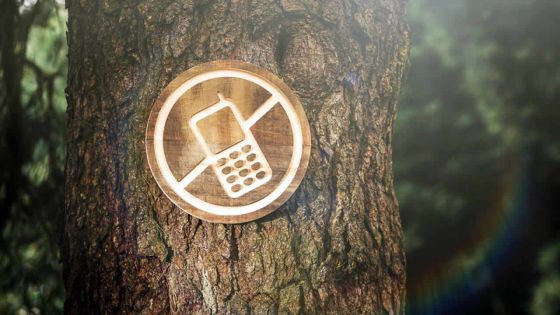 Le Digital Detox : se déconnecter pour reconnecter au mieux-vivre