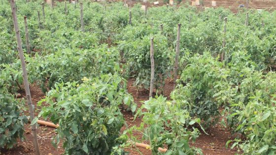 Accord MSPA/Gouvernement : dix ans nécessaires pour récupérer les 2 000 arpents