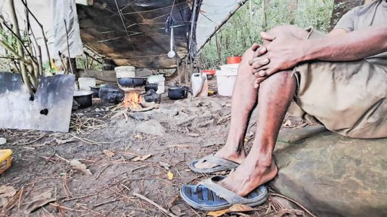 L’homme qui vit dans la forêt 