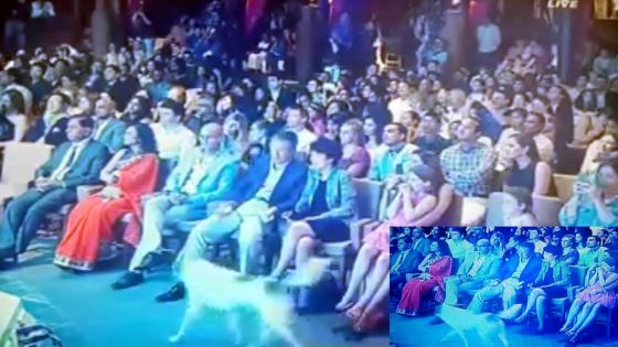 Finale de Miss Mauritius: un invité surprise vole la vedette