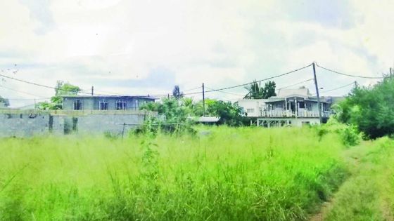Pointe-aux-Piments : il construit sur un terrain abandonné