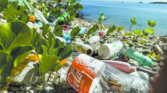 [Blog] Plastique : de l’innovation à la crise mondiale