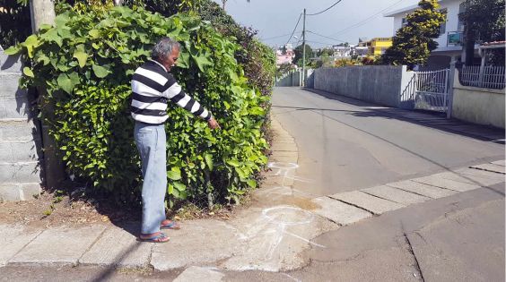 Sakeena Dilmohamed, 79 ans, tuée en revenant du dispensaire