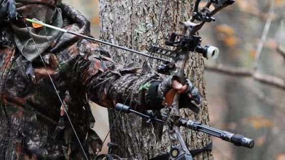 Australie: un cambrioleur reçoit une flèche dans les fesses