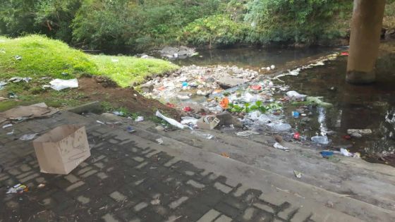 À la Flora : la rivière du Poste remplie de détritus
