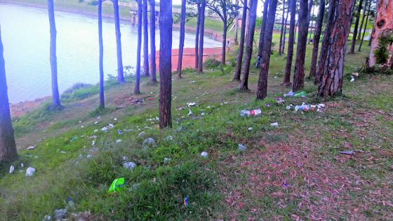 Incivisme : quand La Nicolière prend des allures de dépotoir