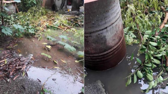 Morcellement Goolamally, Le Hochet-Terre Rouge : une cour inondée à cause de la décharge du voisin