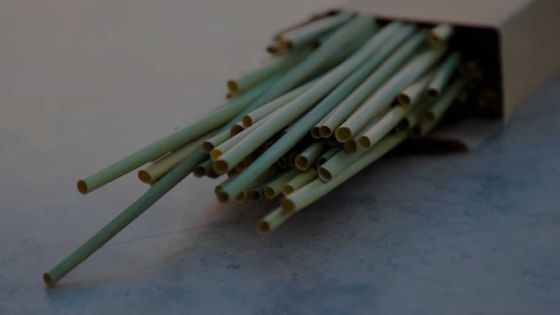 Interdiction des produits en plastique : Maurilait offrira des pailles végétales d’ici le 15 avril