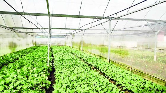 Accord MSPA/Gouvernement : dix ans nécessaires pour récupérer les 2 000 arpents