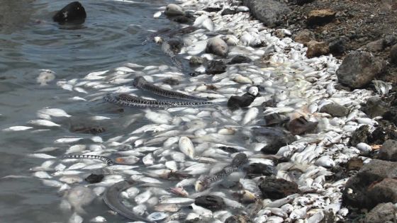 Secteur commercial: pourquoi des milliers de produits alimentaires sont saisis par an