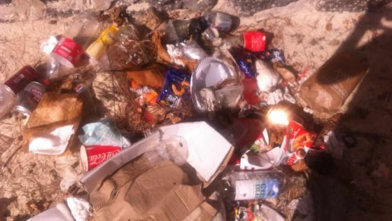 Triste spectacle sur la plage de Pereybère