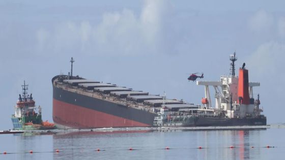 Marée noire : un avion militaire français transportant du matériel de lutte antipollution attendu ce samedi
