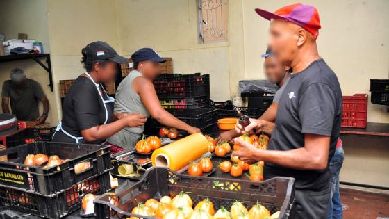 Post-COVID-19 : les centres de formation sollicités pour former 9 000 sans-emploi