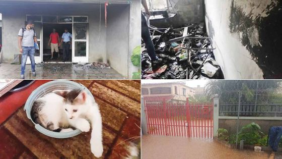 Explik ou ka : Vos messages WhatsAapp 