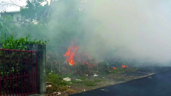 À Vacoas : un terrain en friche prend des allures de dépotoir