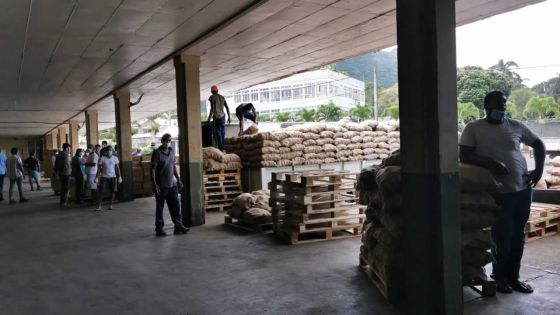 Stockage excessif d’oignons : Maneesh Gobin lance une mise en garde aux revendeurs