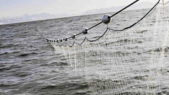 Sable du lagon, filets dérivants, plastique : ces mesures qui dénaturent le combat environnemental