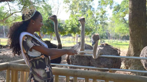 Casela World of Adventures : place à une nouvelle activité