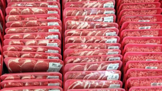 La loi bientôt amendée : aucun permis requis pour l’exportation d’une série de produits